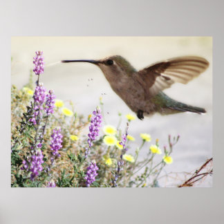 Hummingbird y Wildflowers Arte Digital