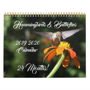 Hummingbirds & Butterflies 2019 Calendario 2020
