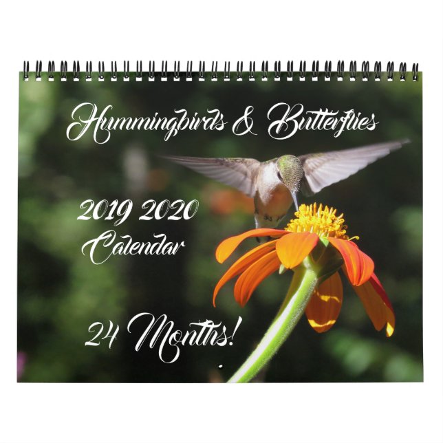 Hummingbirds & Butterflies 2019 Calendario 2020 (Tapa)