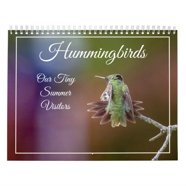 Hummingbirds, calendario de visitantes de verano p (Tapa)