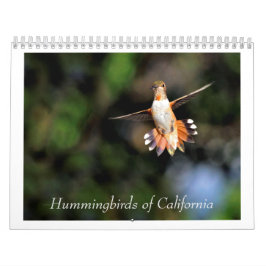 Hummingbirds del Calendario 2024 de California