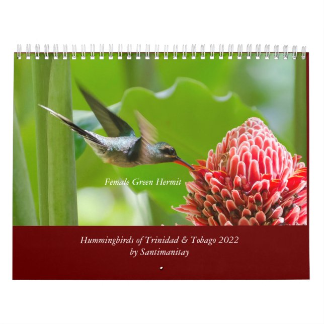Hummingbirds del calendario de Trinidad y Tobago 2 (Tapa)