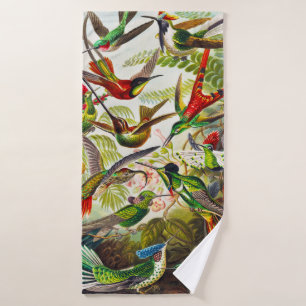 Hummingbirds por Ernst Haeckel