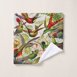 Hummingbirds por Ernst Haeckel