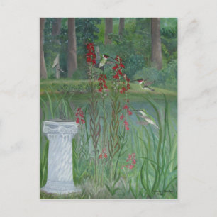 Hummingbirds por la postal de los estanques