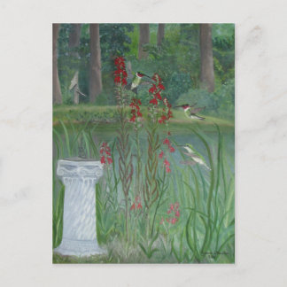 Hummingbirds por la postal de los estanques