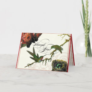 Hummingbirds Red Protea - Cartas de agradecimiento