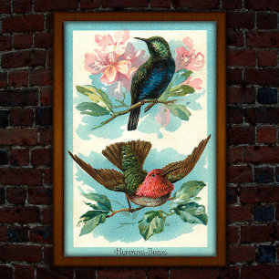 Hummingbirds Vintage 1917 Arte Tropical