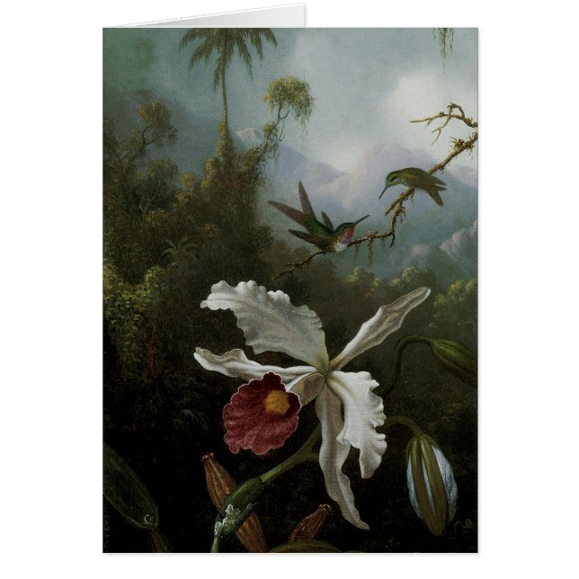 Hummingbirds y Orquídea Blanca por Martin J. Heade (Frente)
