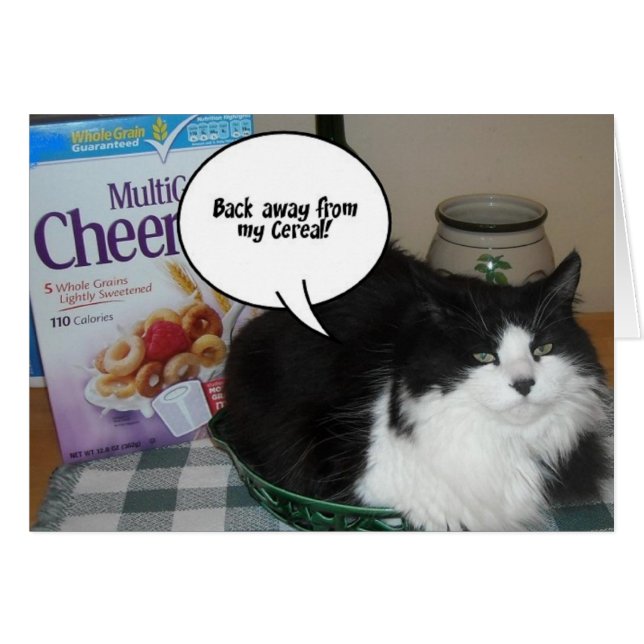 Humor de gato (Anverso (Horizontal))