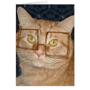 Humor de gato