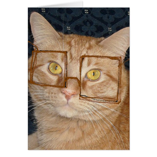 Humor de gato (Frente)