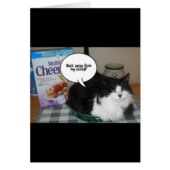 Humor de gato (Frente)