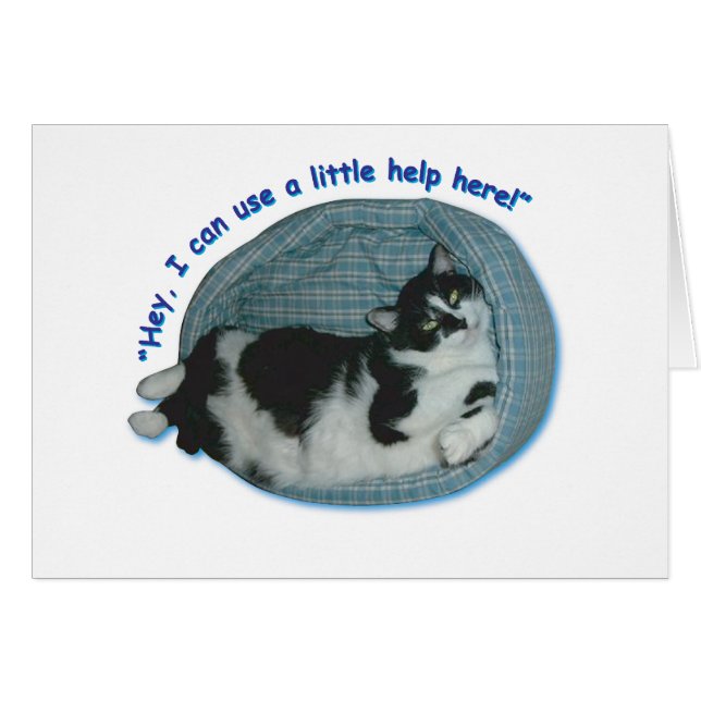 Humor de gato (Anverso (Horizontal))