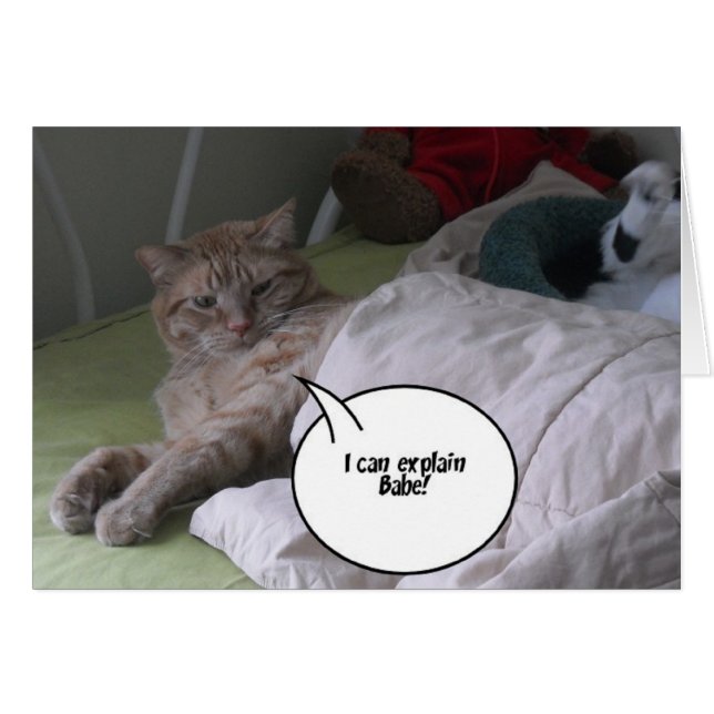Humor de gato naranja Tabby (Anverso (Horizontal))
