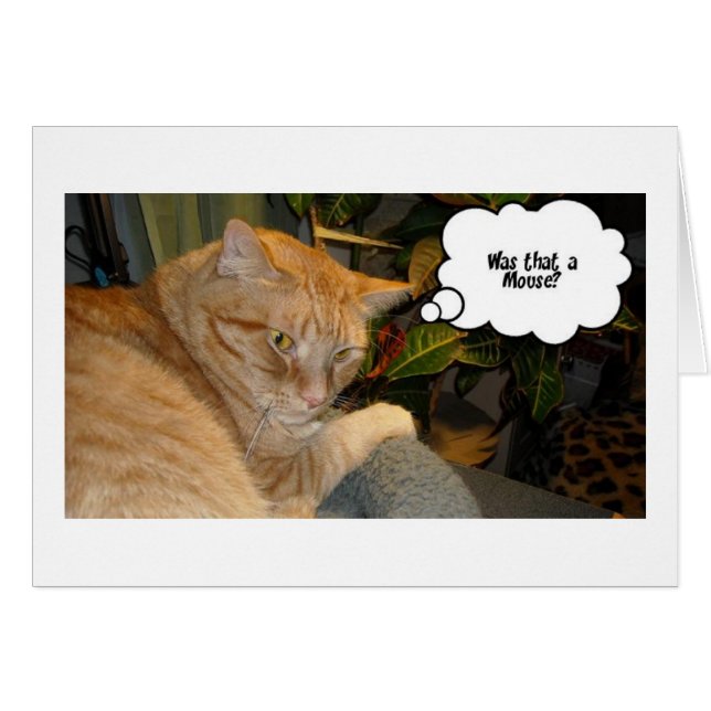 Humor de gato y ratón (Anverso (Horizontal))
