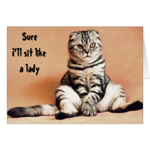 Humor de Gatos Siéntate como una Dama Divertido
