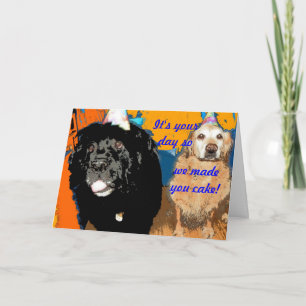 Humor de perro con tarjeta de cumpleaños