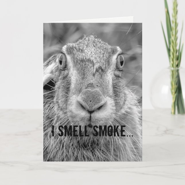 humor de tarjeta de cumpleaños conejo foto en blan (Anverso)