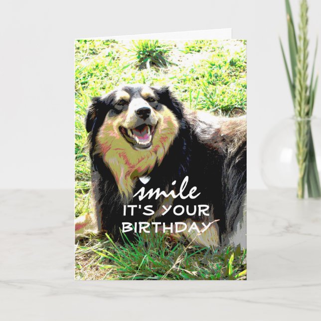 humor de tarjeta de cumpleaños de perro lindo en a (Anverso)