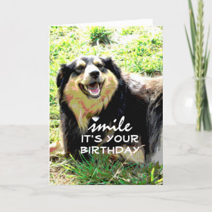 humor de tarjeta de cumpleaños de perro lindo en a