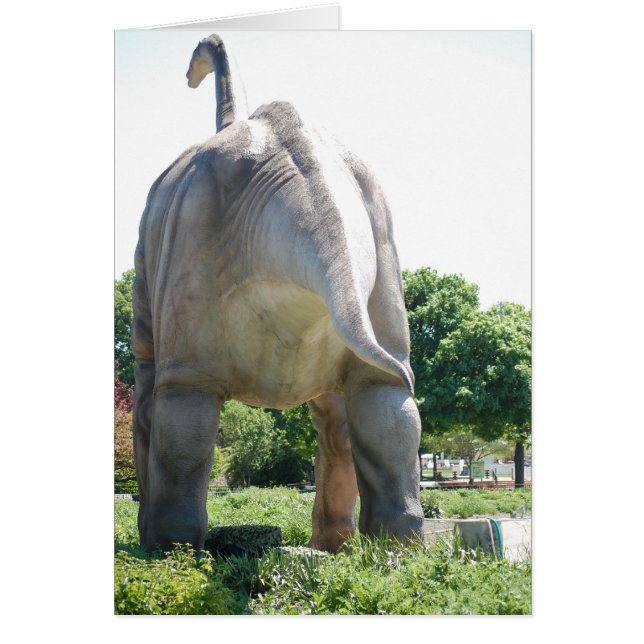 Humor/Diversión (Frente)