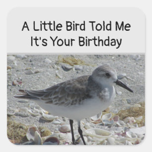 Humorístico Sello para sobres de pájaro