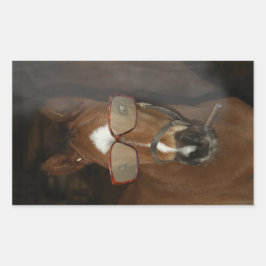 Humorosos Pegatinas de puros de engorde de caballo