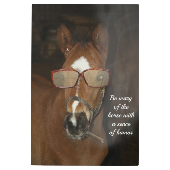Humorous Horse Foal Fumar Cigar Arte Pared Metaliz (Anverso)