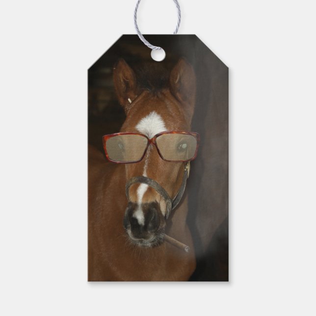 Humorous Horse Foal Smoking Cigar Gift Etiqueta (Anverso)