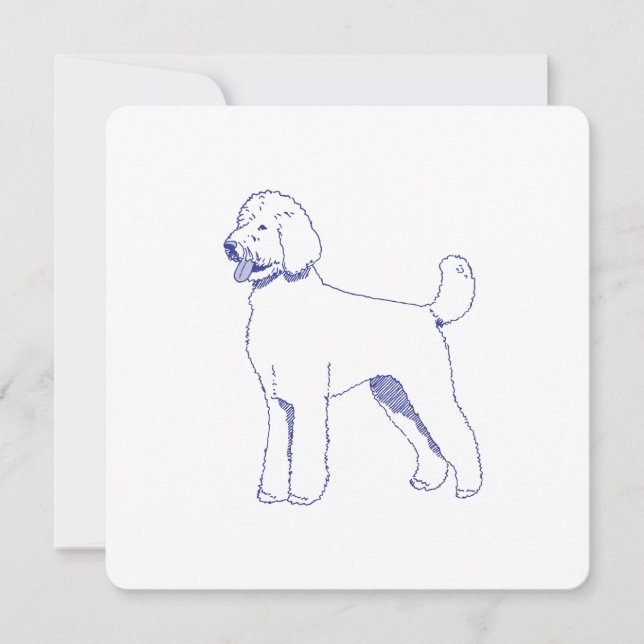 Hunderasse Goldendoodle (Anverso)