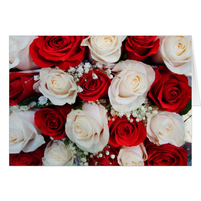 Húngaro - Te amo (Anverso (Horizontal))