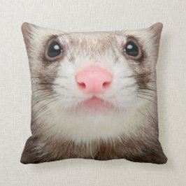 Hurón del mascota de la almohada