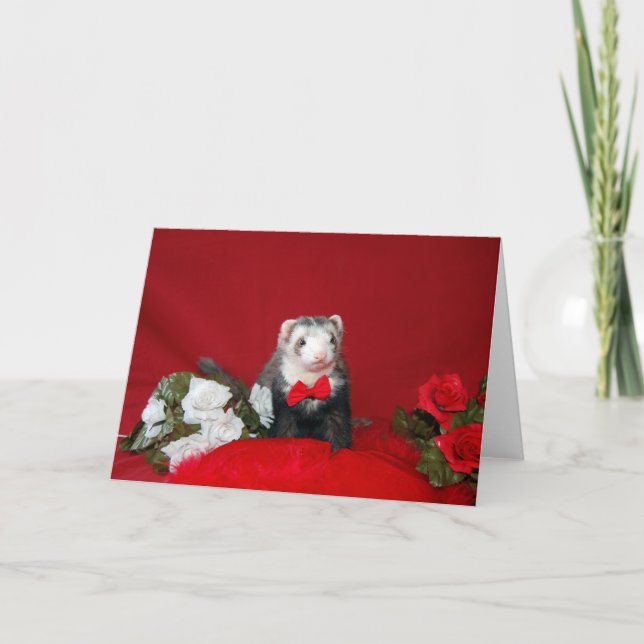 Hurón - tarjeta del día de San Valentín - Annv. - (Anverso)