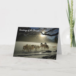 Huskies Sled Dogs Holiday Tarjeta de saludo Alaska