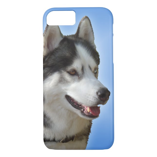 Husky Dog iPhone Cases a Fundas del grupo Husky Ma (Reverso)