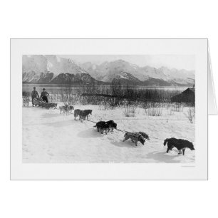 Husky Dog Team Alaska 1918