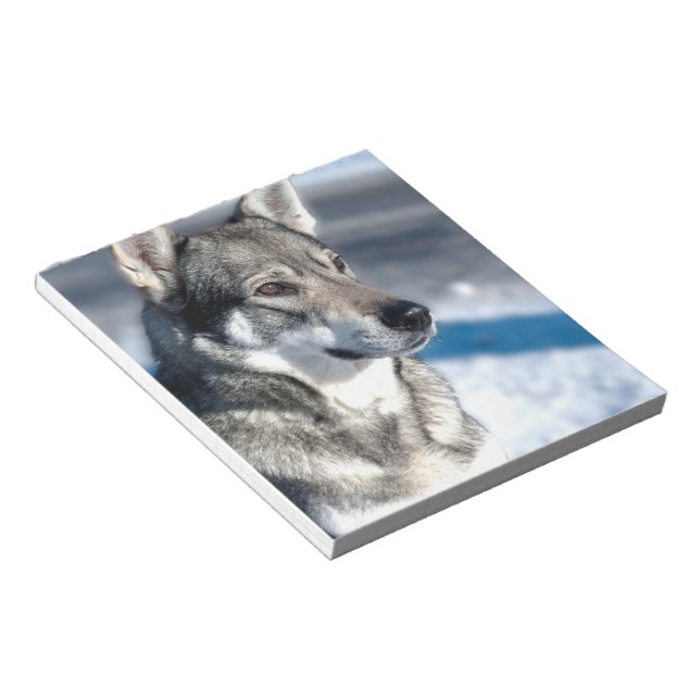 Husky en el Bloc de notas de nieve (Lado Derecho)