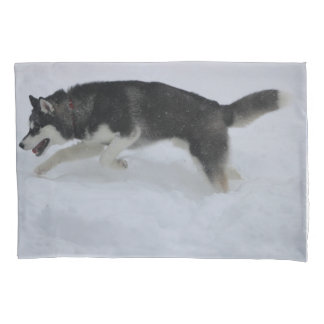 Husky Pillow Funda