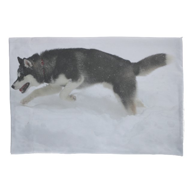 Husky Pillow Funda (Anverso)