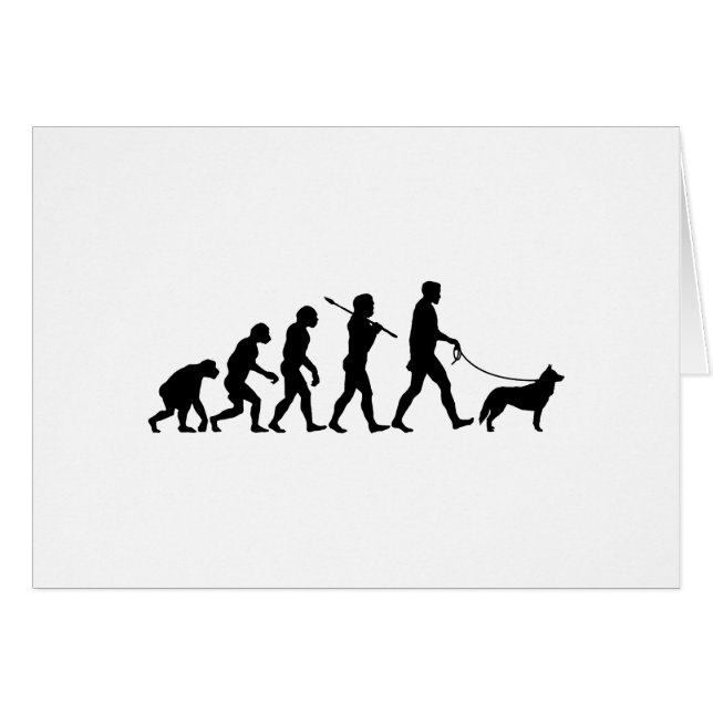 Husky siberiano (Anverso (Horizontal))