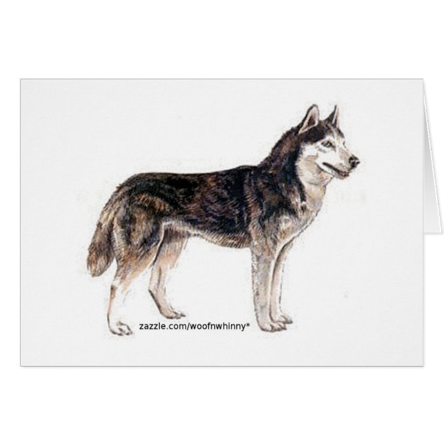 ¡Husky siberiano! (Anverso (Horizontal))