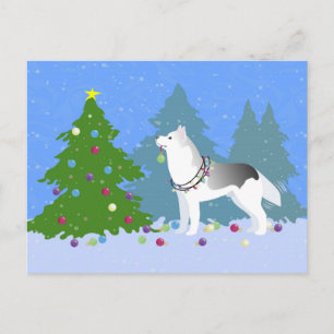 Husky siberiano decorando árbol de Navidad - Bosqu