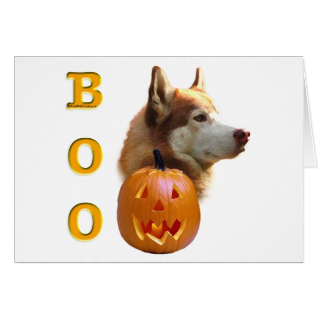 Husky siberiano (rojo) Boo (Anverso (Horizontal))