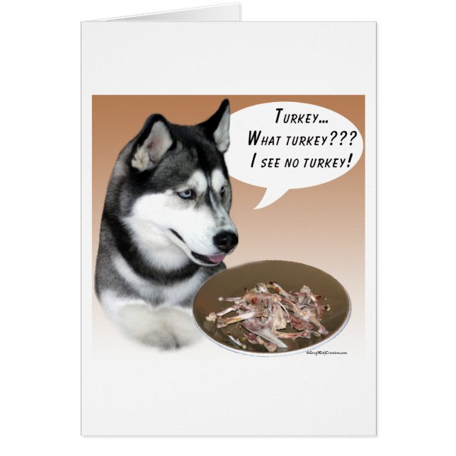 Husky siberiano (Turquía negra) (Frente)