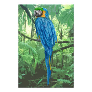 Hyacinin Macaw Diseño Foto Ampliación