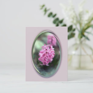Hyacinth en primavera