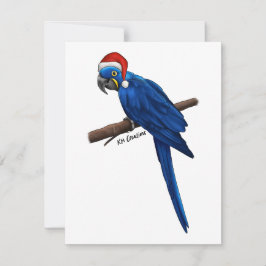Hyacinth macaw - tarjeta de vacaciones