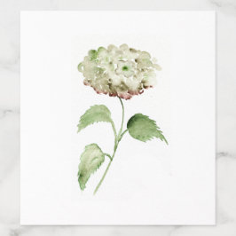 Hydrangea Acuarela