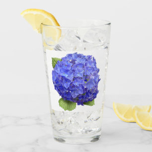 Hydrangea azul
